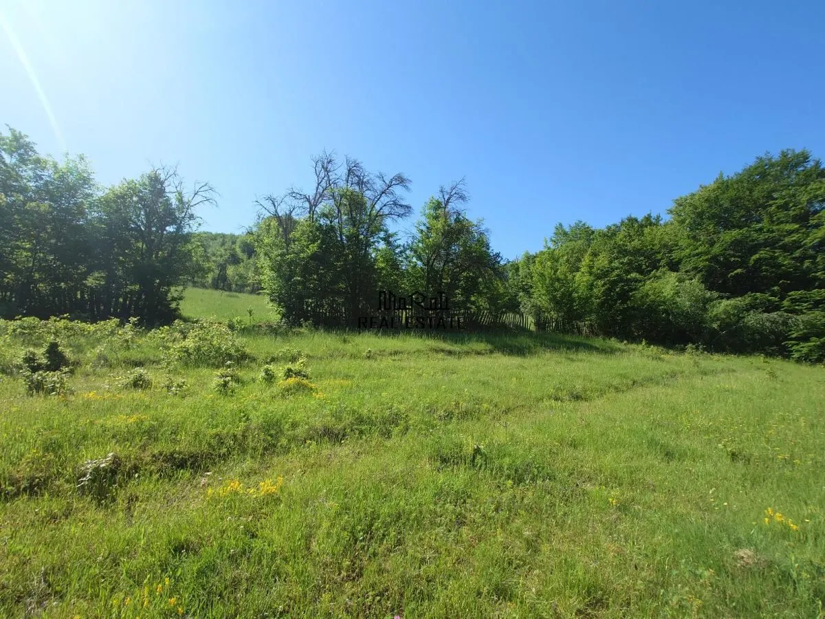 1,3 ha Teren si cladiri in Blajeni - foto 17