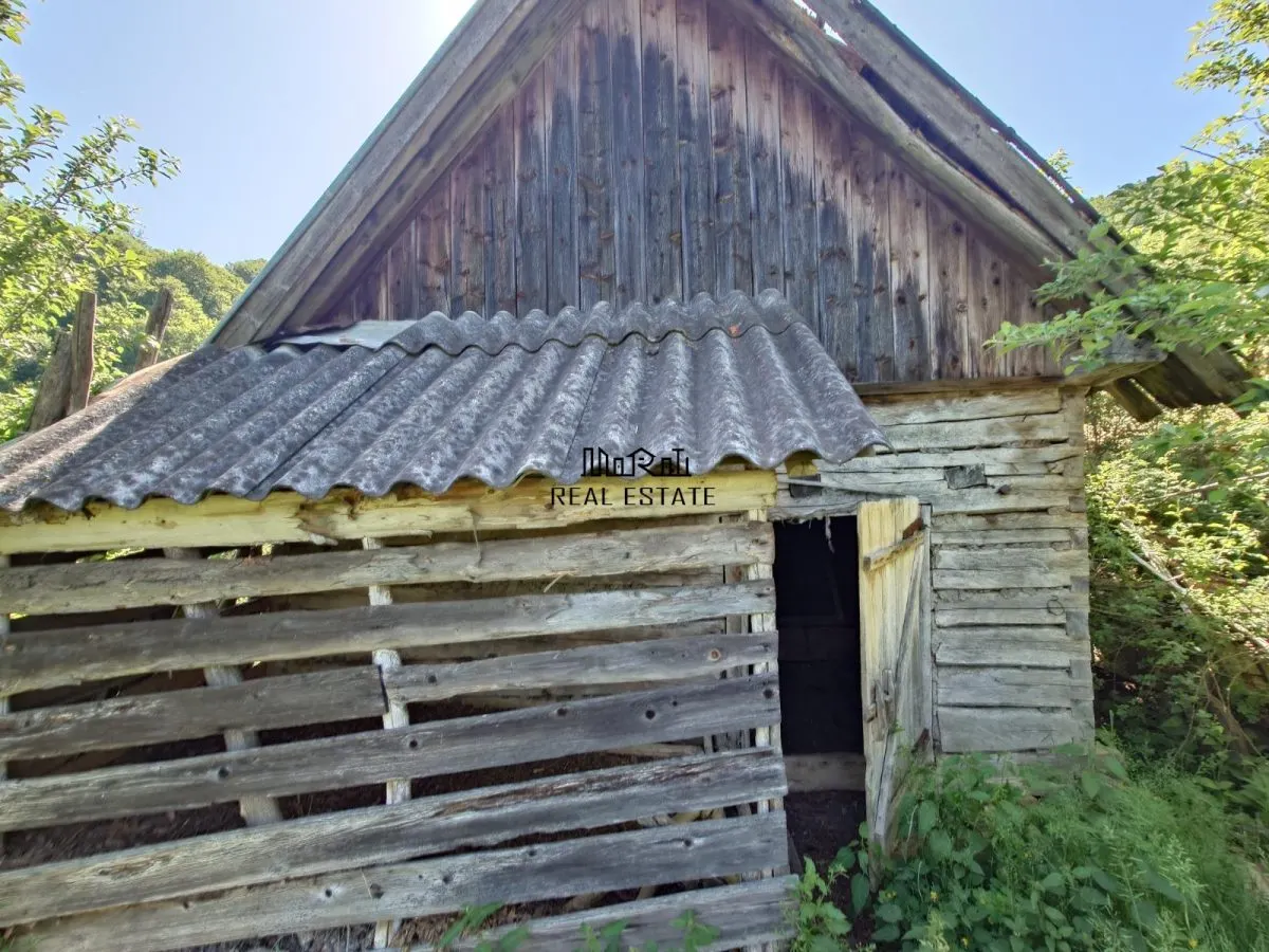 1,3 ha Teren si cladiri in Blajeni - foto 20