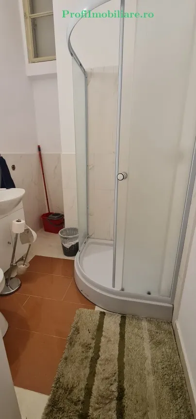 Ansamblu 2 apartamente, central- Podgoria, cladire renovata exterior / interior - foto 14