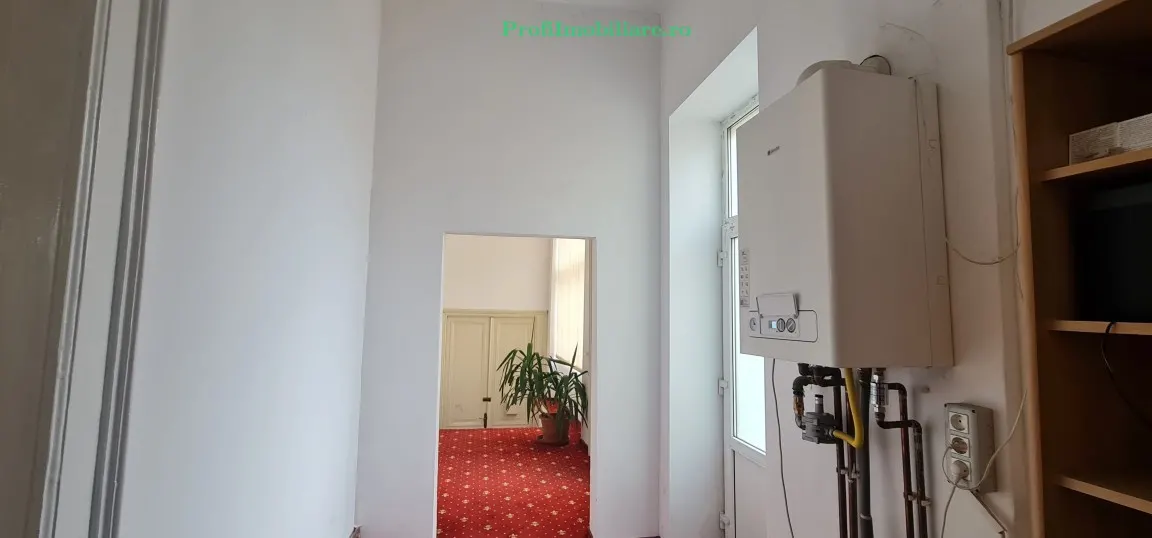 Ansamblu 2 apartamente, central- Podgoria, cladire renovata exterior / interior - foto 8