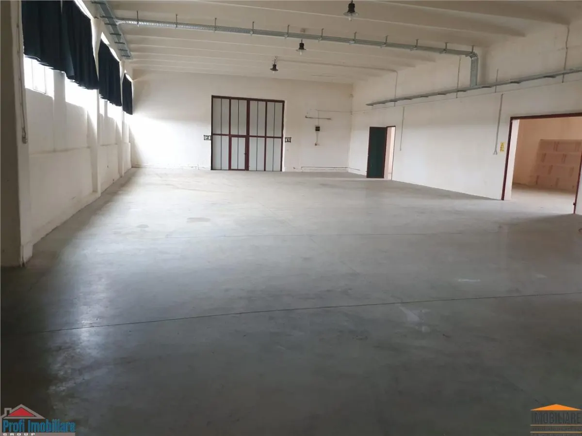 Nave Industrial en Alquiler cerca de A1 hacia Timișoara - foto 10
