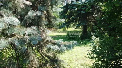 أرض قابلة للبناء في تشيتيلا، إيلفوف - foto 2