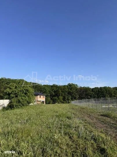 Teren Branesti Padure - foto 2