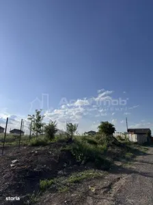 Teren Branesti Padure - foto 4