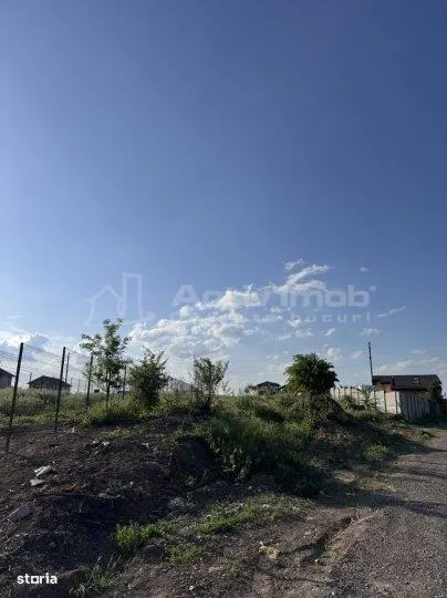 Teren Branesti Padure - foto 4