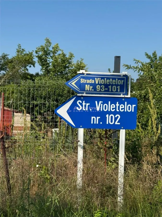 Teren Branesti Padure - foto 6