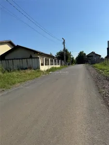 Teren Branesti Padure - foto 7