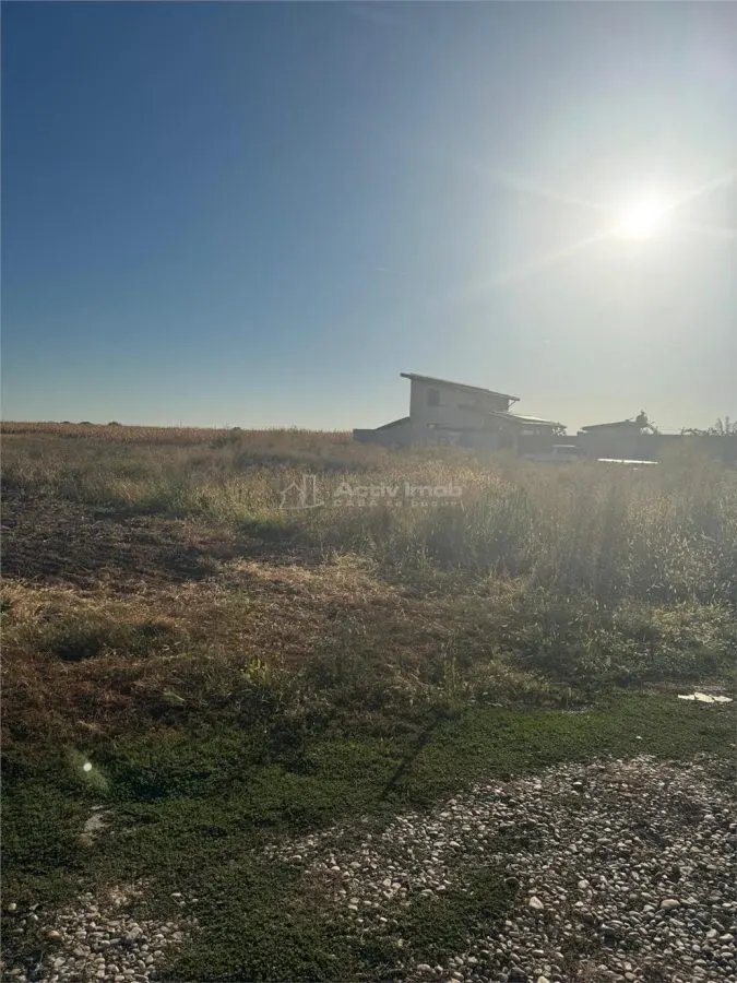 أرض سكنية ماجوريل - foto 4