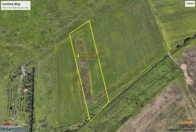 10,000 sqm Land Plot, Gradina Postei Area, Arad - foto 4