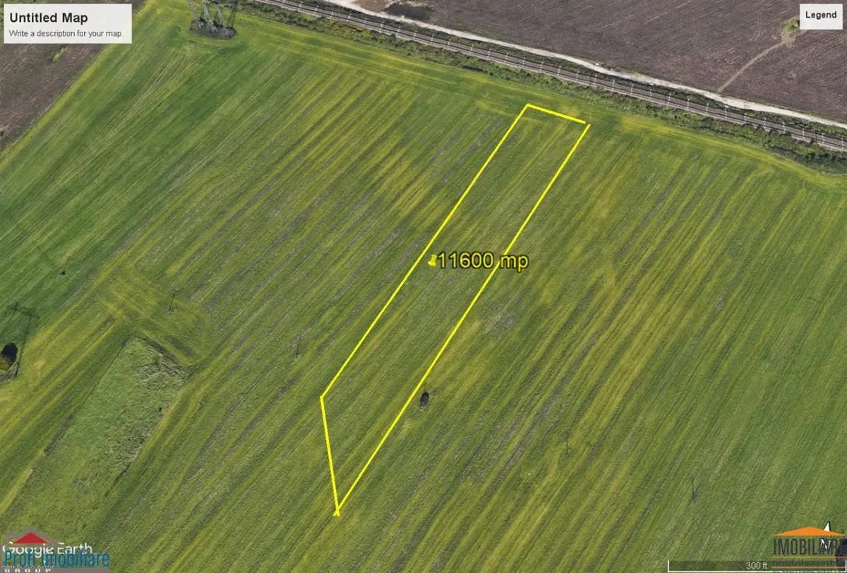 11,600 sqm Land Plot Adjacent to Dedeman, Selgros, Arad - foto 1