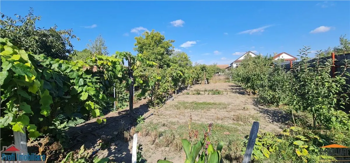 Casa pentru spatiu comercial pe calea Radnei - strada principala - foto 21