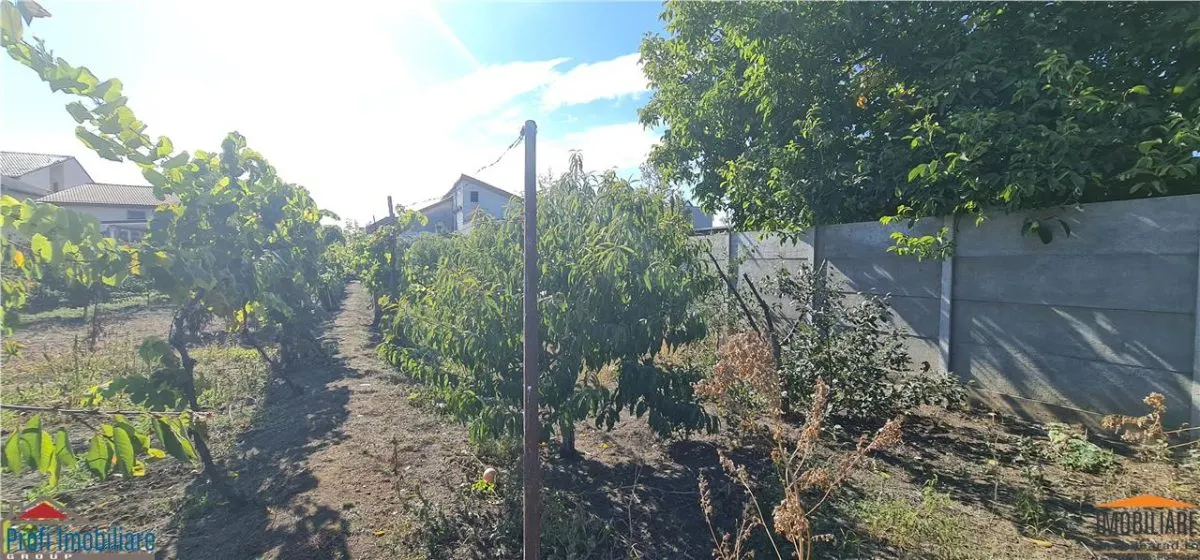 Casa pentru spatiu comercial pe calea Radnei - strada principala - foto 22