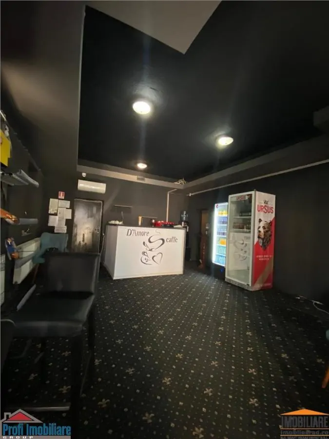 SPATIU COMERCIAL SANTANA CENTRU - foto 5