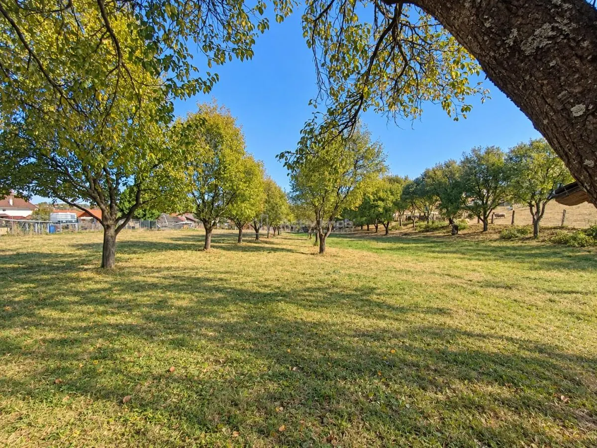 Premium Land in Tocile – Strong Investment Potential - foto 3
