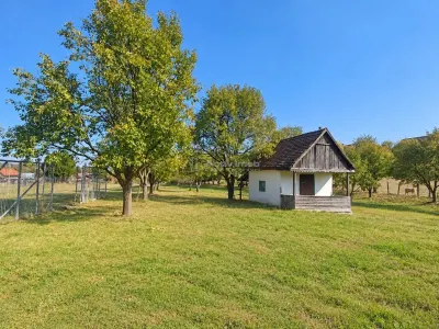 Premium Land in Tocile – Strong Investment Potential - foto 4