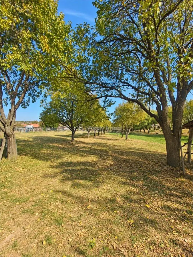 Premium Land in Tocile – Strong Investment Potential - foto 5