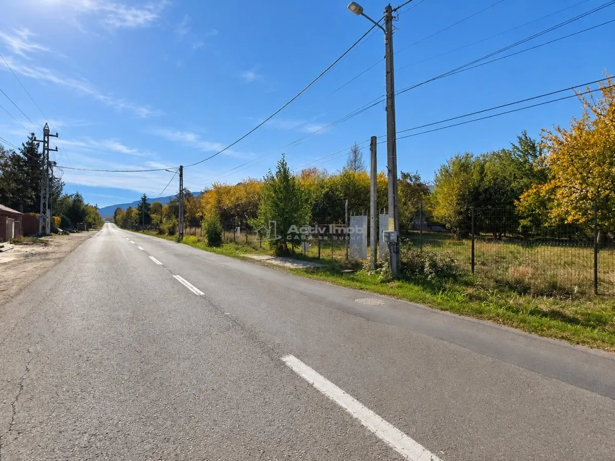 Premium Land in Tocile – Strong Investment Potential - foto 6