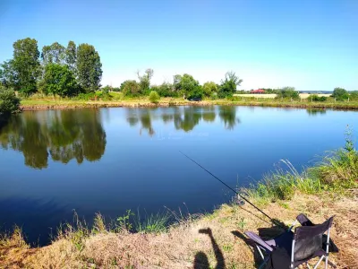 18,247 sqm Land with Fishing Pond – Misca, Chislaz, Bihor - foto 2