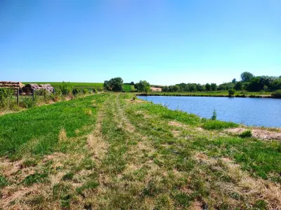 18,247 sqm Land with Fishing Pond – Misca, Chislaz, Bihor - foto 5