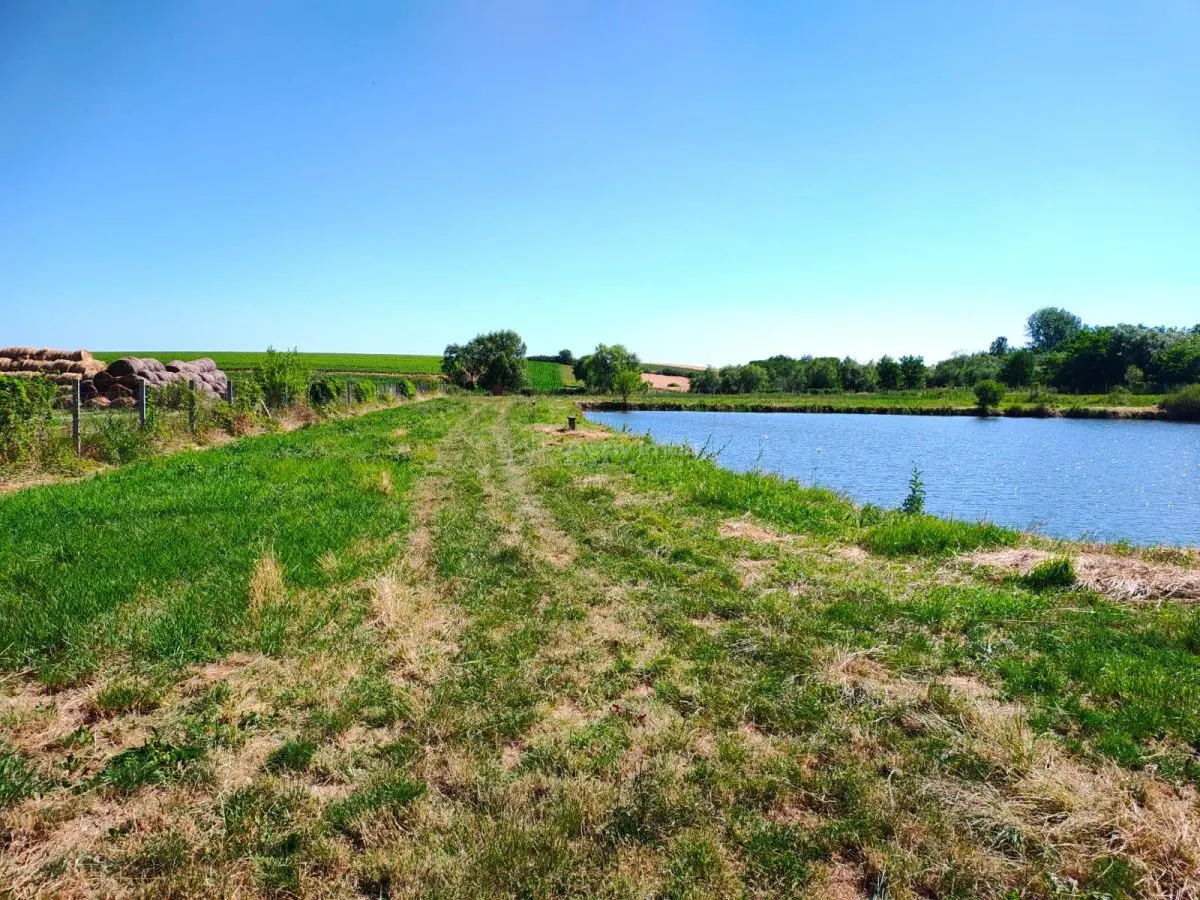 18,247 sqm Land with Fishing Pond – Misca, Chislaz, Bihor - foto 5