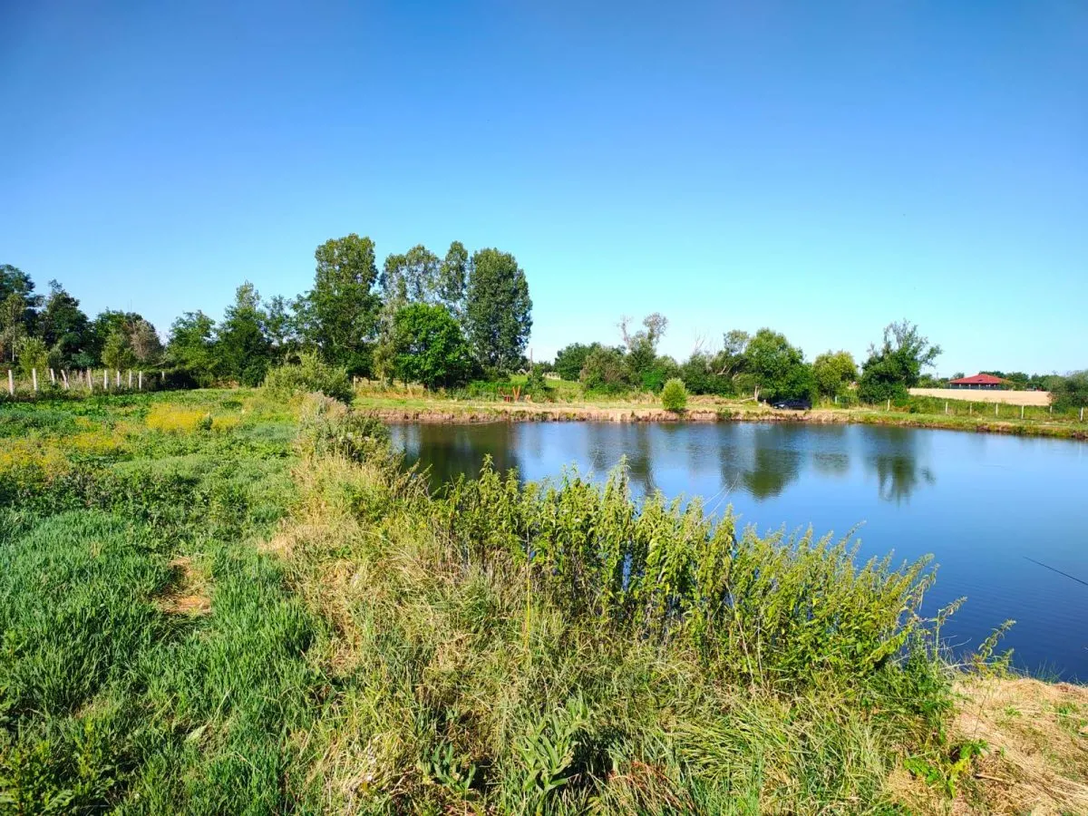 18,247 sqm Land with Fishing Pond – Misca, Chislaz, Bihor - foto 6