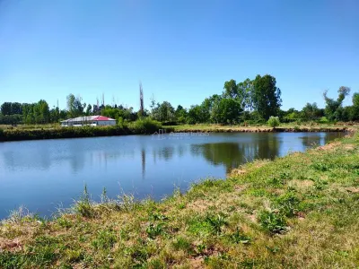 18,247 sqm Land with Fishing Pond – Misca, Chislaz, Bihor - foto 7