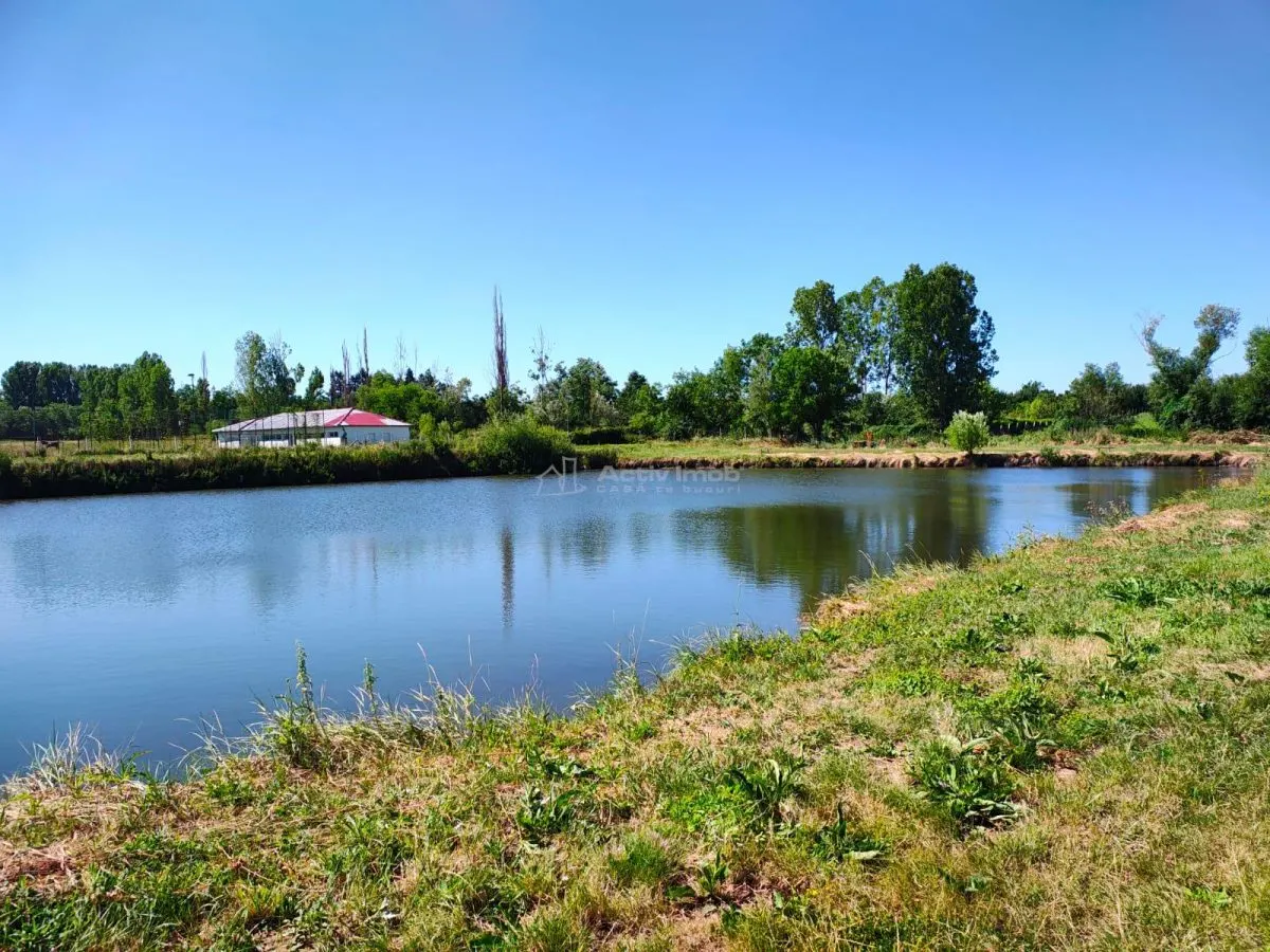 18,247 sqm Land with Fishing Pond – Misca, Chislaz, Bihor - foto 7