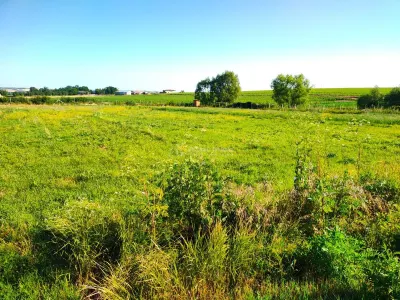 18,247 sqm Land with Fishing Pond – Misca, Chislaz, Bihor - foto 8