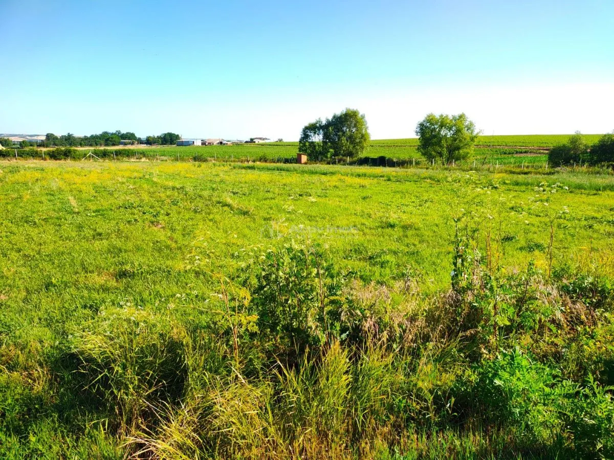 18,247 sqm Land with Fishing Pond – Misca, Chislaz, Bihor - foto 8