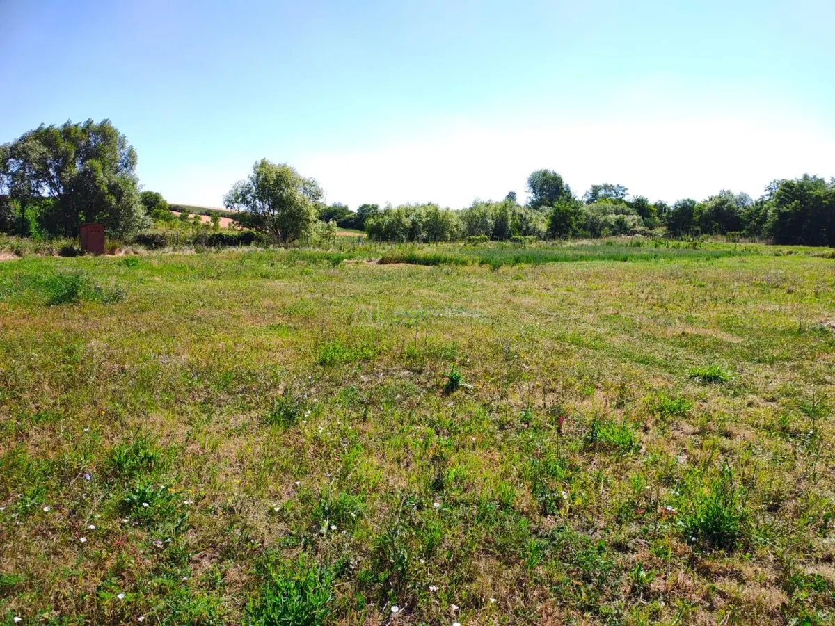 18,247 sqm Land with Fishing Pond – Misca, Chislaz, Bihor - foto 9