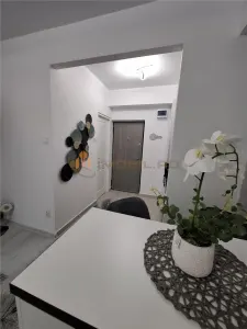 Studio Luxe – Quartier Nicolina (Podu Roș) – Design Contemporain - foto 5
