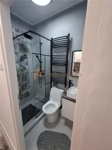 Studio Luxe – Quartier Nicolina (Podu Roș) – Design Contemporain - foto 6