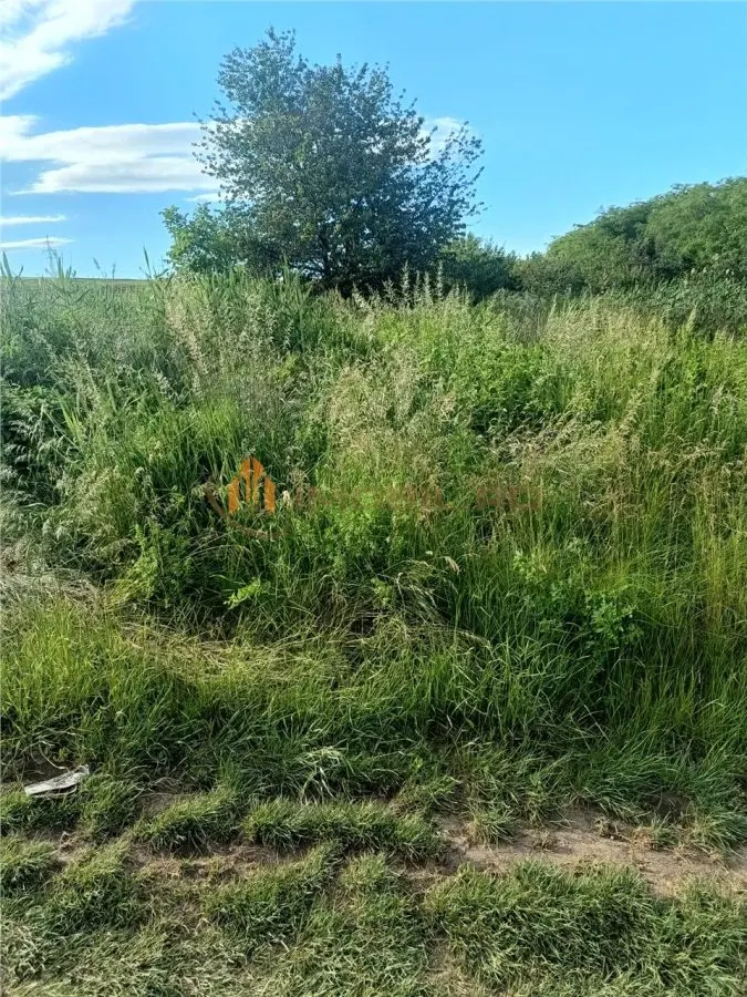 Terreno en Venta en Valea Lungă - Holboca - foto 3