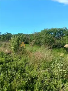 Terreno en Venta en Valea Lungă - Holboca - foto 5