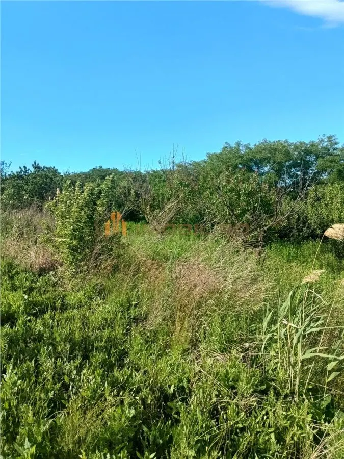 Terreno en Venta en Valea Lungă - Holboca - foto 5