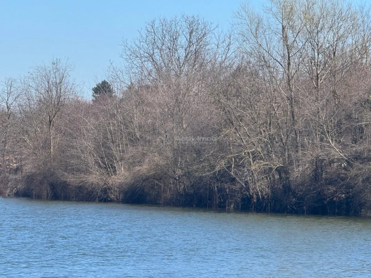 Land for sale 1800 sqm in Ganeasa - foto 3
