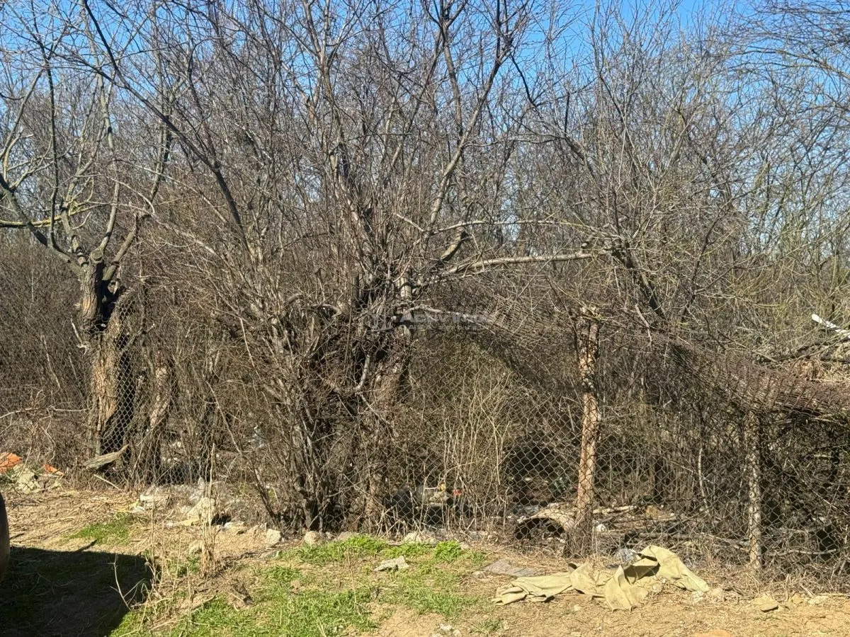 Land for sale 1800 sqm in Ganeasa - foto 5
