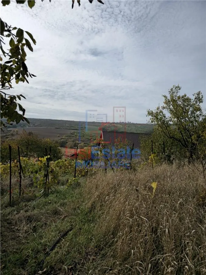 Schitu-Duca casa la strada P+M - foto 12
