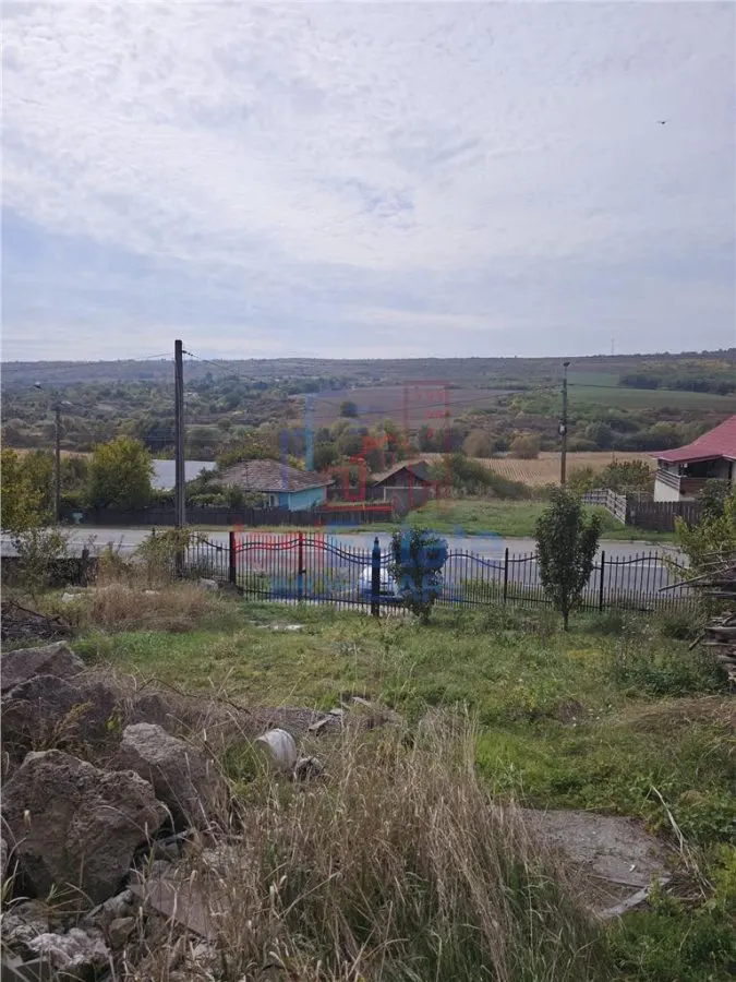 Schitu-Duca casa la strada P+M - foto 3