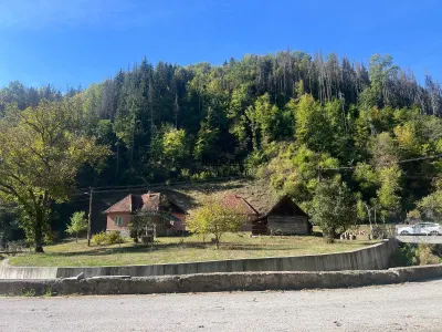 Doua case, teren si padure in Mihaileni - Buces - Mihaileni