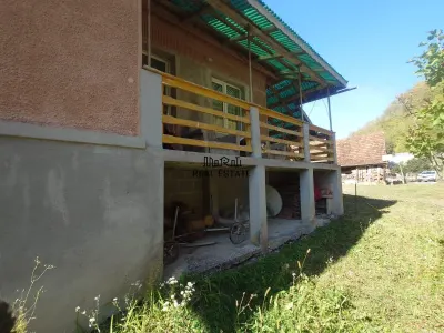 Doua case, teren si padure in Mihaileni - Buces - foto 13