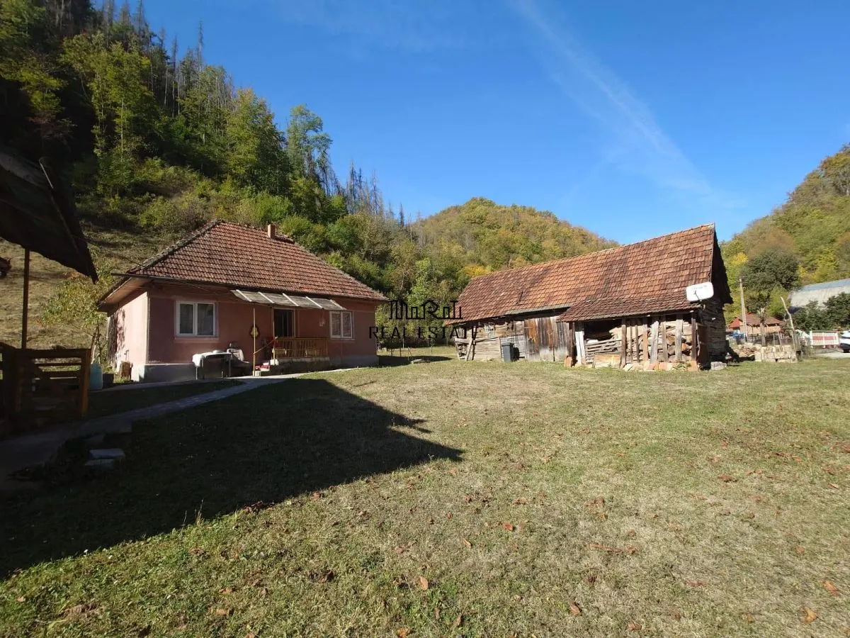 Doua case, teren si padure in Mihaileni - Buces - foto 14