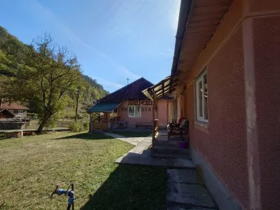 Doua case, teren si padure in Mihaileni - Buces - foto 15