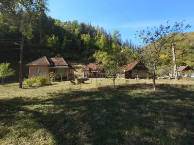 Doua case, teren si padure in Mihaileni - Buces - foto 19