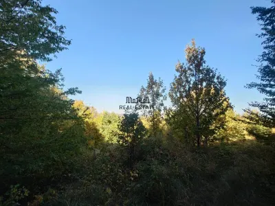 Teren in Apuseni Cazanesti - foto 2