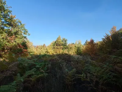 Teren in Apuseni Cazanesti - foto 4