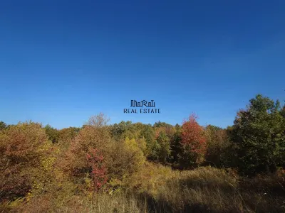 Teren in Apuseni Cazanesti - foto 9