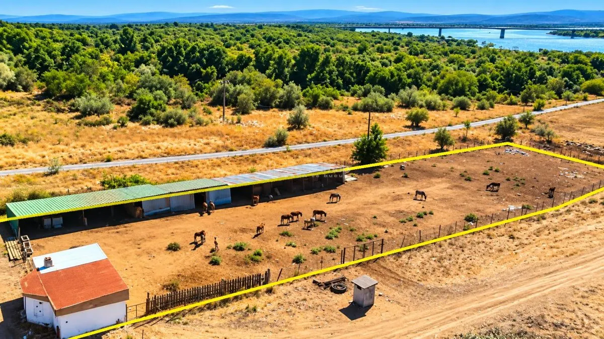 Moldova Noua | Teren 3.300 MP + Afacere | ZERO COMISION - foto 2