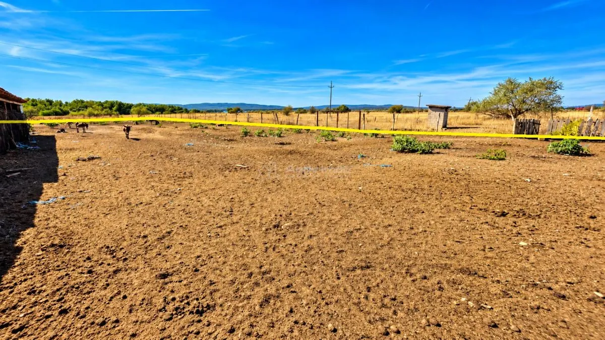 Moldova Noua | Teren 3.300 MP + Afacere | ZERO COMISION - foto 18