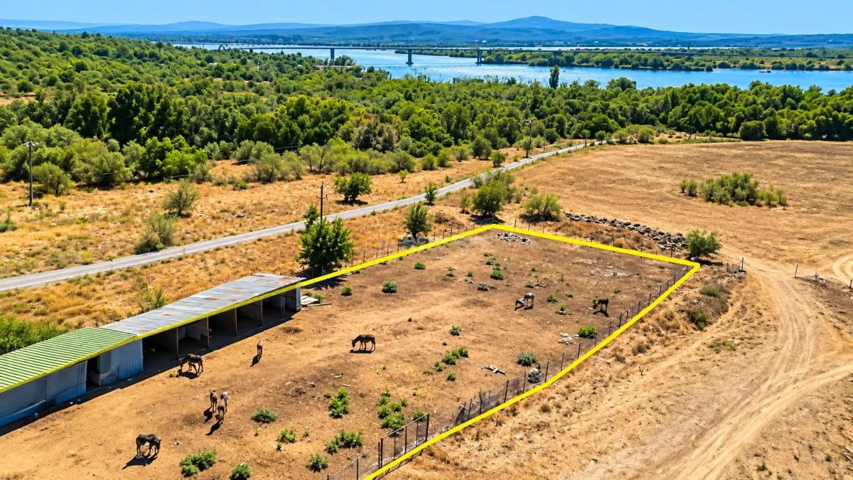 Moldova Noua | Teren 3.300 MP + Afacere | ZERO COMISION - foto 3